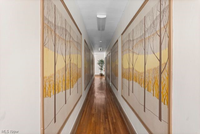 Euclid Heights - Residential Lease