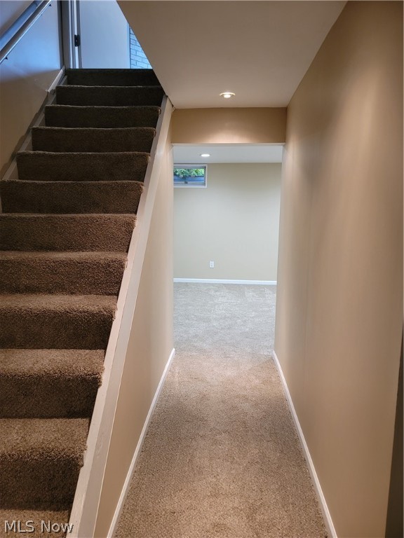 Puritas Park Townhome - Residential