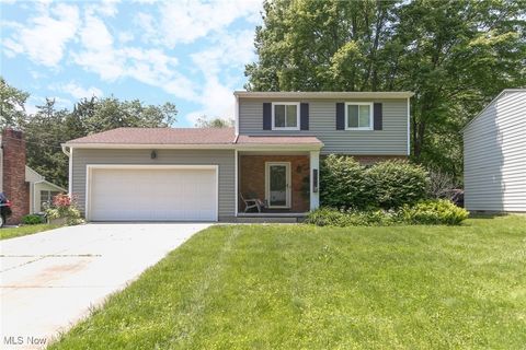 386 Caladonia Avenue Fairlawn OH 44333