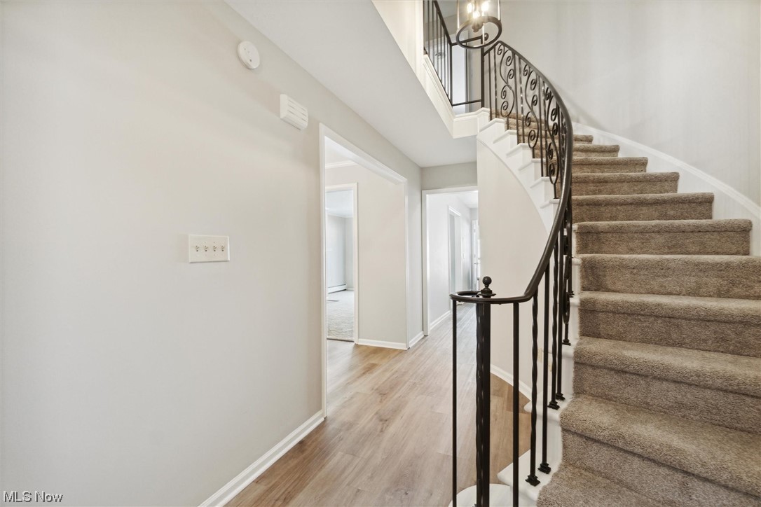 Meadowlawn Condo - Residential