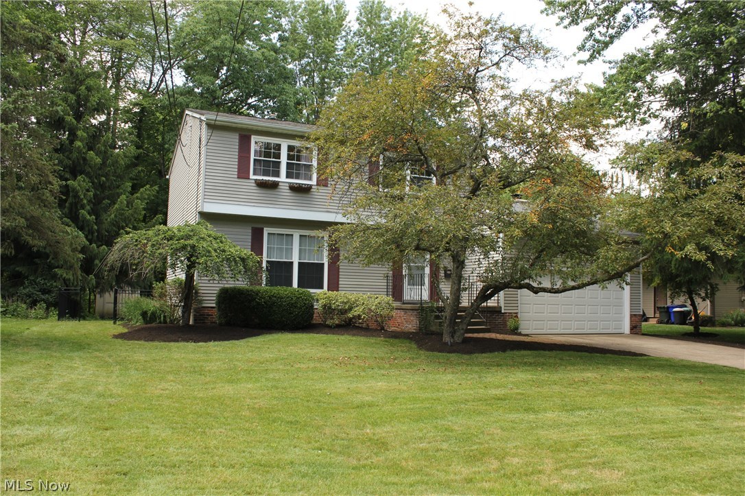 Younkman - Residential