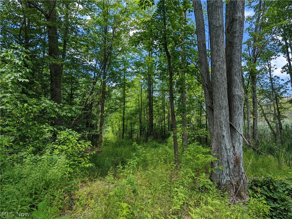 Champion Township - Land