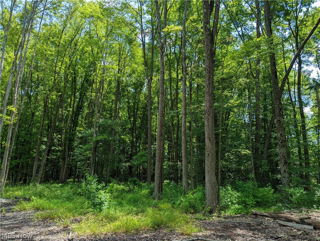 Champion Township - Land