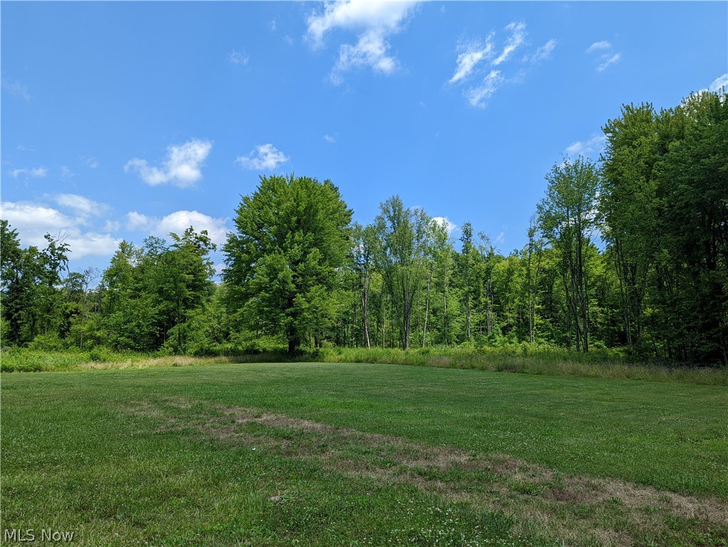 Champion Township - Land