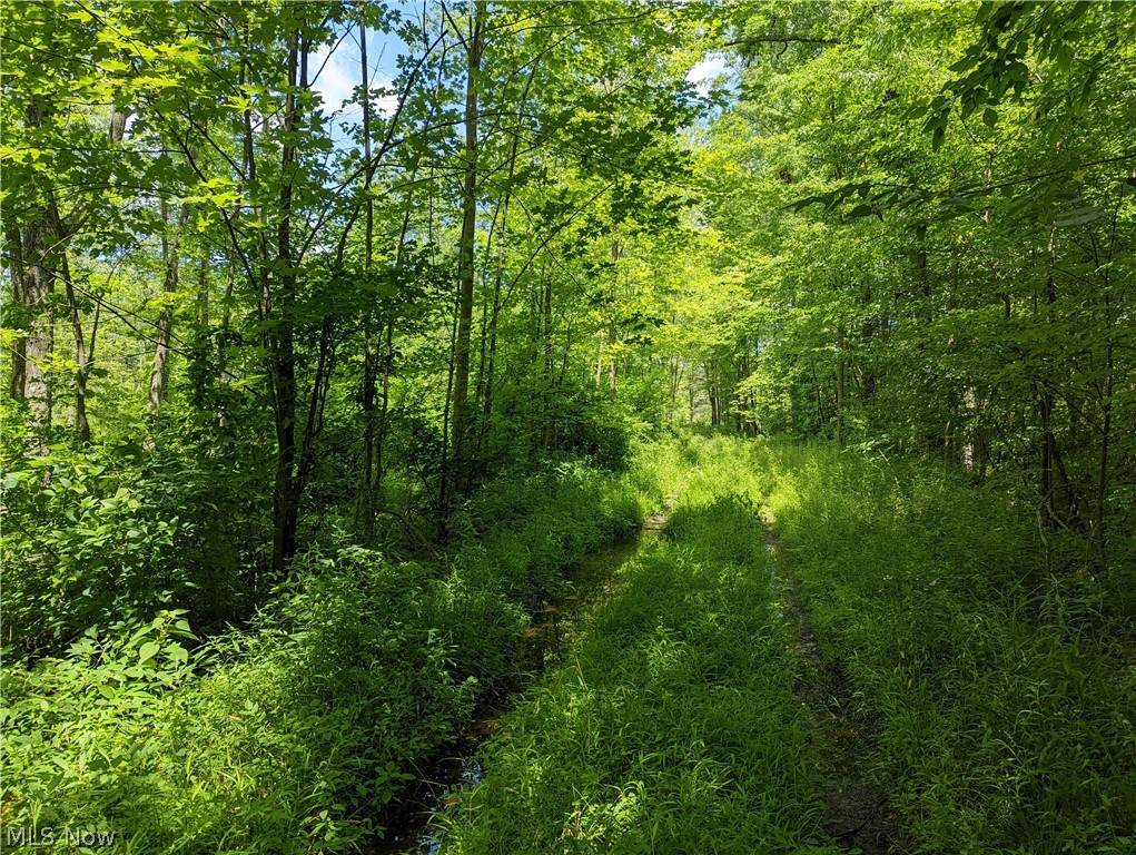 Champion Township - Land