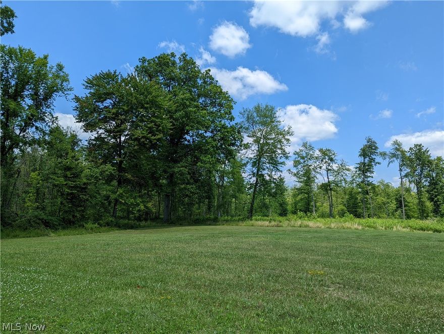 This 35 acres of wooded ground outside of Champion with lots of frontage and a one acre planted grass clearing is the perfect place to build your dream home. Use the secondary gravel drive for easy to access the back of the property or to establish a secluded hideaway among a mixture of oaks, maple and thick security cover from a previous timber harvest. Explore this private playground on the network of existing logging trails and you will find a property perfect for the outdoor enthusiast who loves hunting, shooting or riding ATVs while still being close to all the modern conveniences that town has to offer. Contact us today to learn more and to schedule your private showing.

• One acre grass building site
• Existing well and septic system (unknown condition)
• Secondary gravel driveway offers great access deep into the property
• Network of logging trails
• Good thick cover that deer love
• Close to sports complex, restaurants and shopping
• Champion Schools