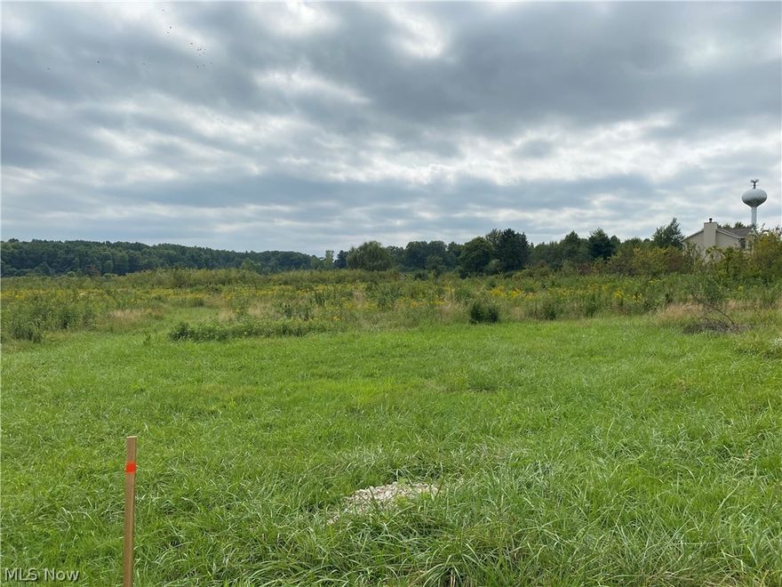 Build your dream home on the 5+ acre level ground lot. Gas, electric, and water available at the street. I-90 just 5 minutes away, and close to the Family Outdoor YMCA.