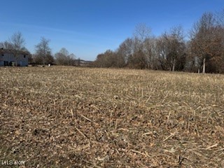 VL NE Hess Mill Road, Bolivar, Ohio image 3