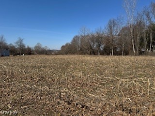VL NE Hess Mill Road, Bolivar, Ohio image 4