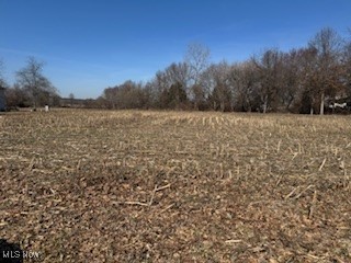 VL NE Hess Mill Road, Bolivar, Ohio image 2