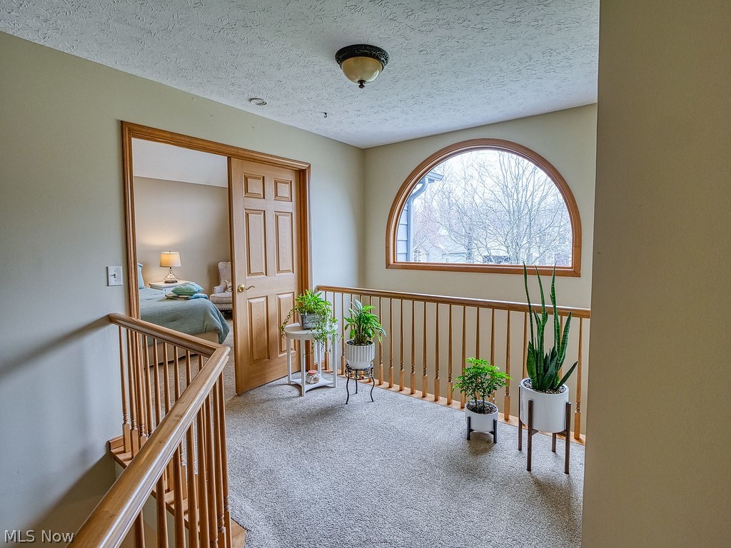 Pheasants Walk - Residential