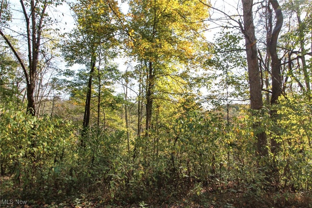 Norwood View Add - Land