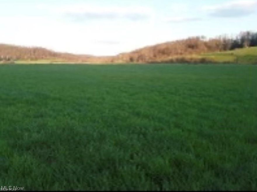 Location says it all! This 16 acre parcel is just minutes away from 170, Per seller 2.72 acres could be used for commercial. The creek on the property would be great for livestock. For approximately past 10 years, the land has earned income from leasing to farmer for hay. There's a perfect building site on the level, cleared land ready for endless possibilities. Electric is near by, no public water.