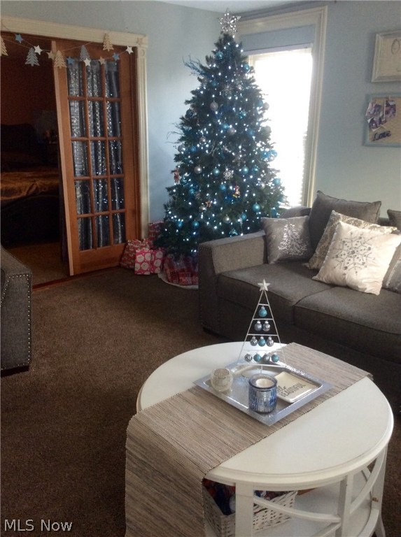 Village/Canfield - Residential