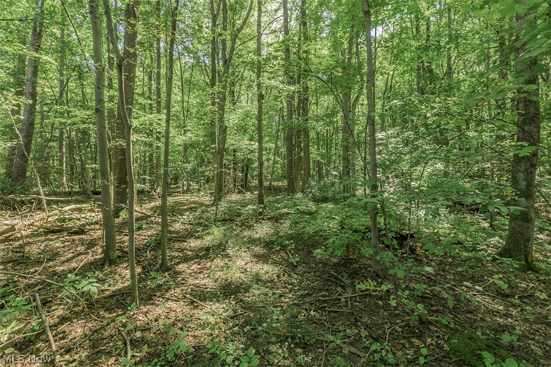 Surrey Downs Estate - Residential