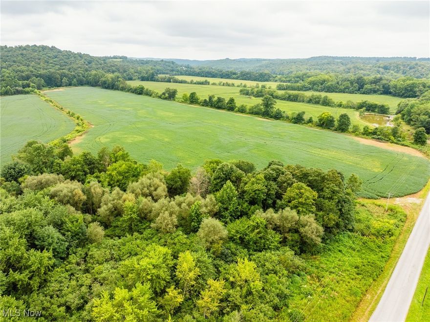 Online Only Auction 9/23/2025 6:00 PM - Parcel 1: 23.51 Acres w/ 365’ frontage - A very nice 75 + acre farm with loads of potential for farmers, hunters, and country land buyers. The land is rolling with the Doughty Creek running through it, is mostly open with good tillable creek bottom farmland, and offers good hunting. The land will be offered in 3 parcels ranging from 23 to 26 acres each with good frontage and each tract supports a building site. Make plans to preview this land and see the possibilities that await.