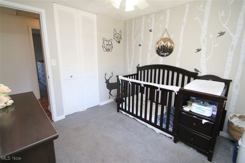 Tiny photo for 6509 Hudson Avenue, Mentor, OH 44060 (MLS # 5179458)