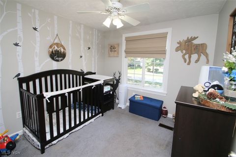 Tiny photo for 6509 Hudson Avenue, Mentor, OH 44060 (MLS # 5179458)