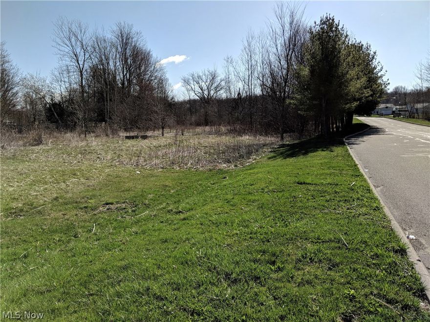 Over 1 acre of land to build your home. All utilities across the street to tie into.