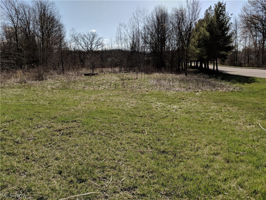 Johnston Township Original 03 Sec 28 - Land