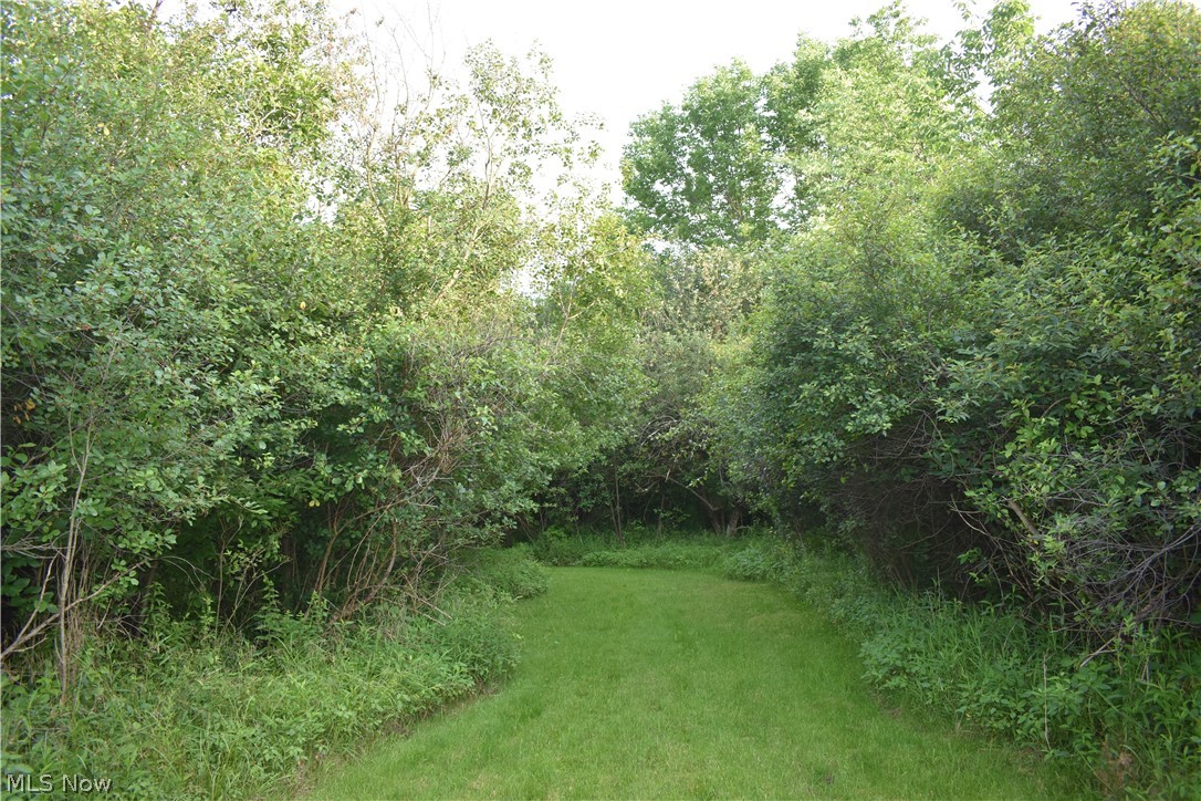 Old Taylor Woods - Residential