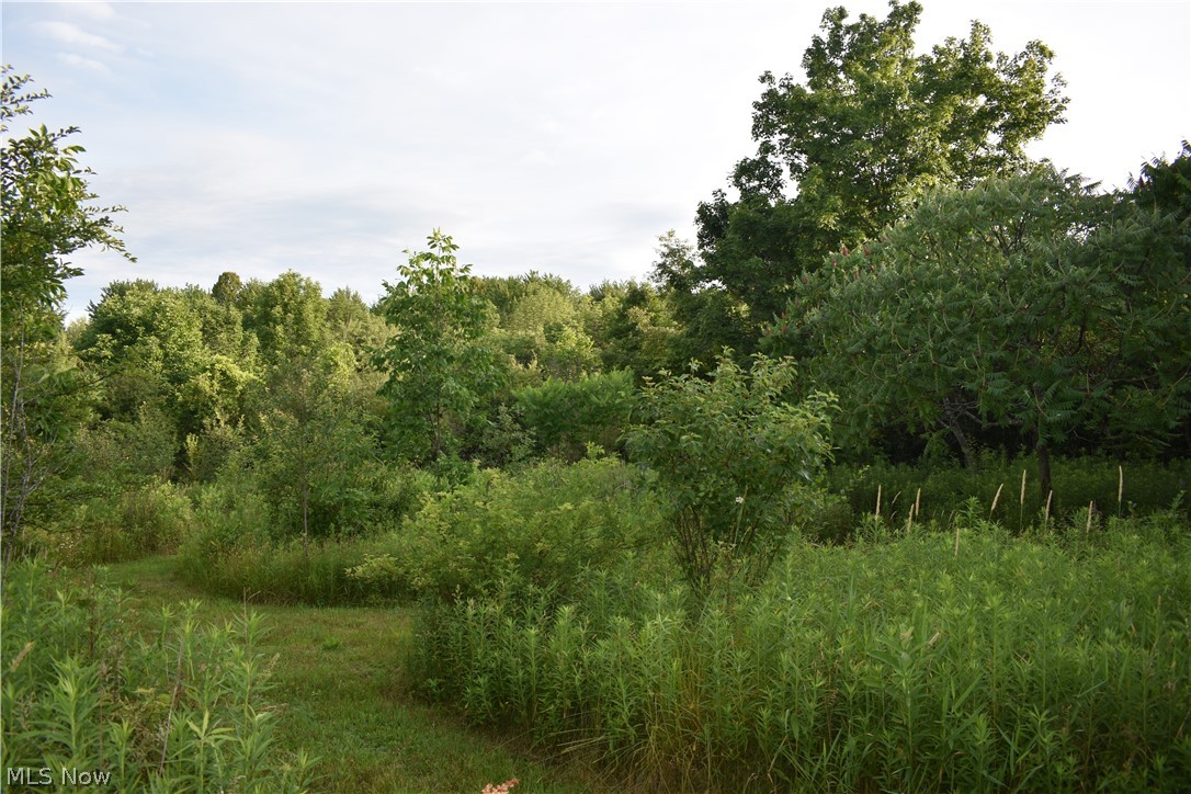 Old Taylor Woods - Residential