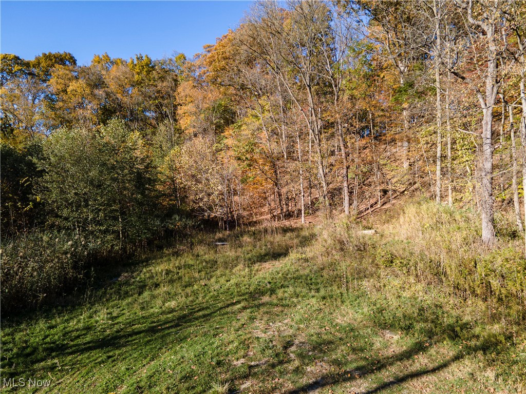 3339 Yellow Creek Road