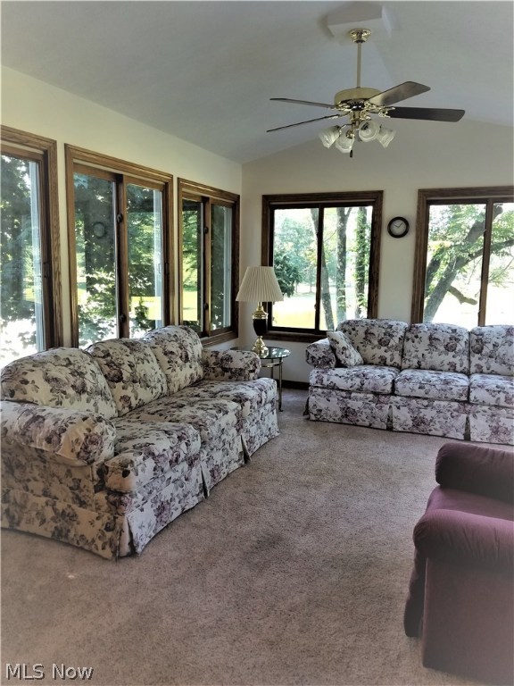 Brimfield - Residential