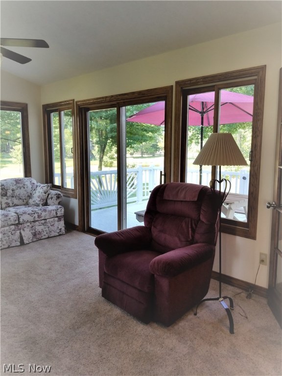 Brimfield - Residential