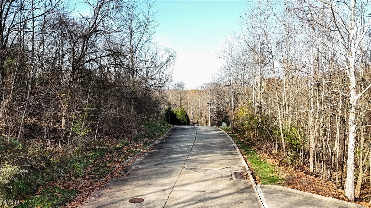 Lot #1 Mountain Laurel, Marietta, Ohio image 19