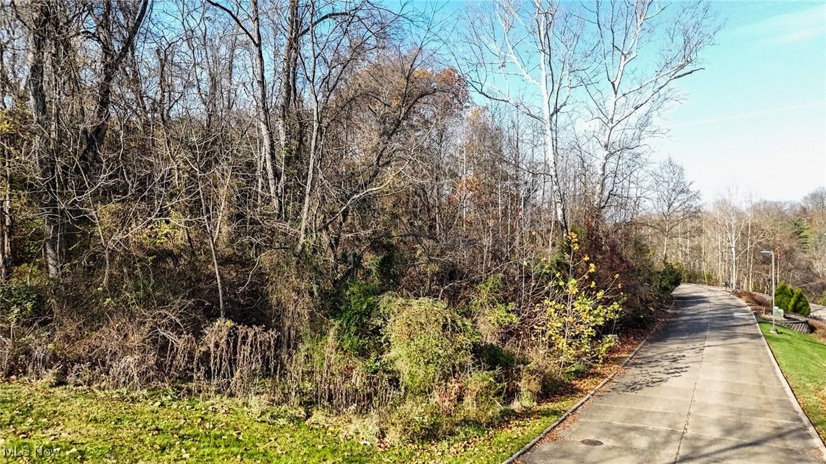 Lot #1 Mountain Laurel, Marietta, Ohio image 7