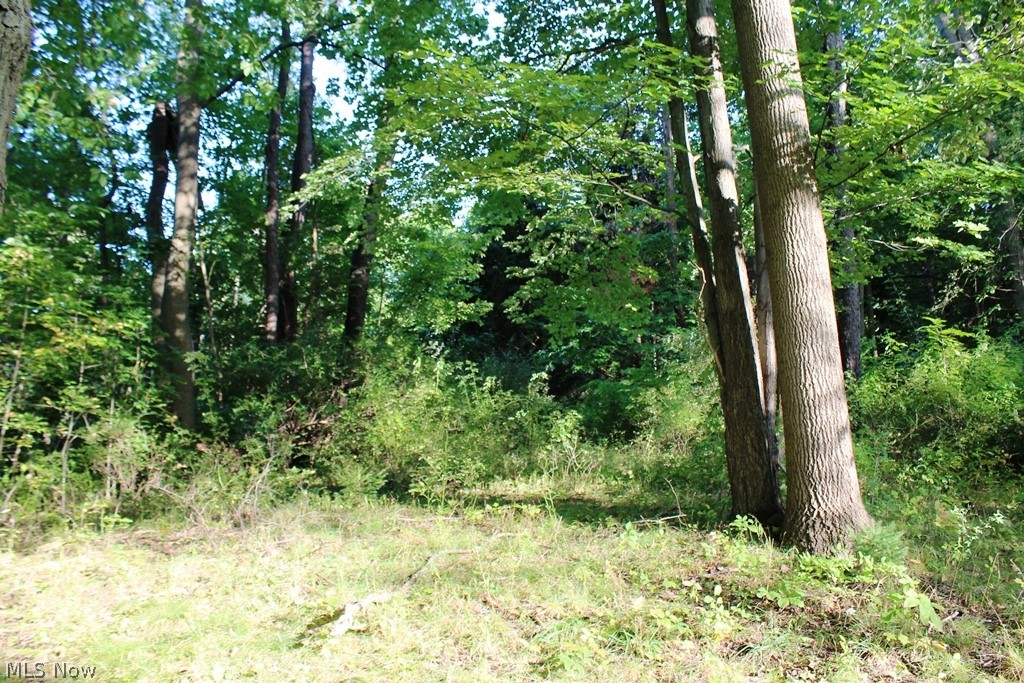 Sagamore Hills Estate Sub - Residential