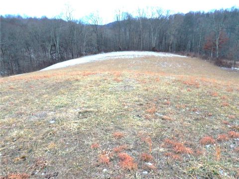 Vacant Land For Sale - 50877 Moore Ridge Road<br/> Monroe County, Jerusalem, OH 43747