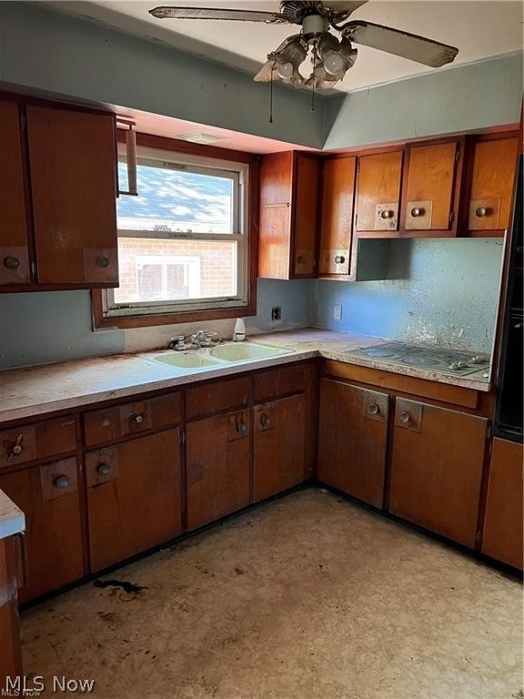 Springville Allotment #1 - Residential