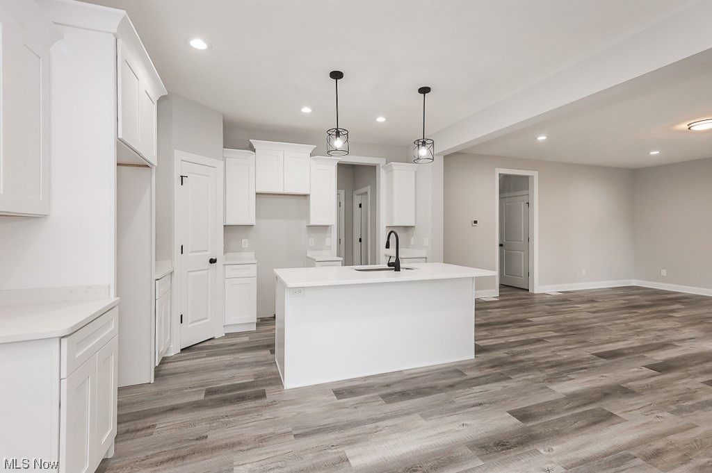 Mentor Estates Sub - Residential