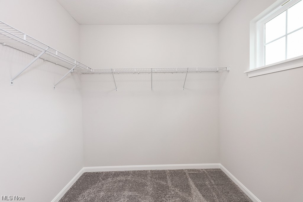 Mentor Estates Sub - Residential