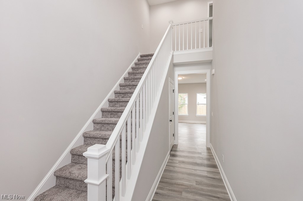 Mentor Estates Sub - Residential