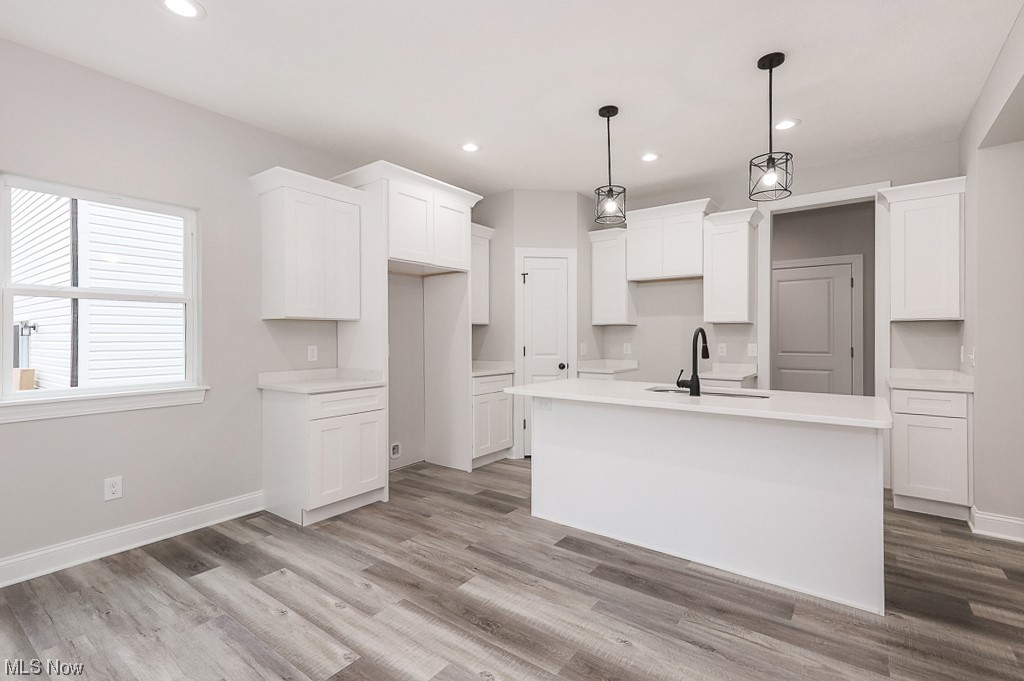 Mentor Estates Sub - Residential