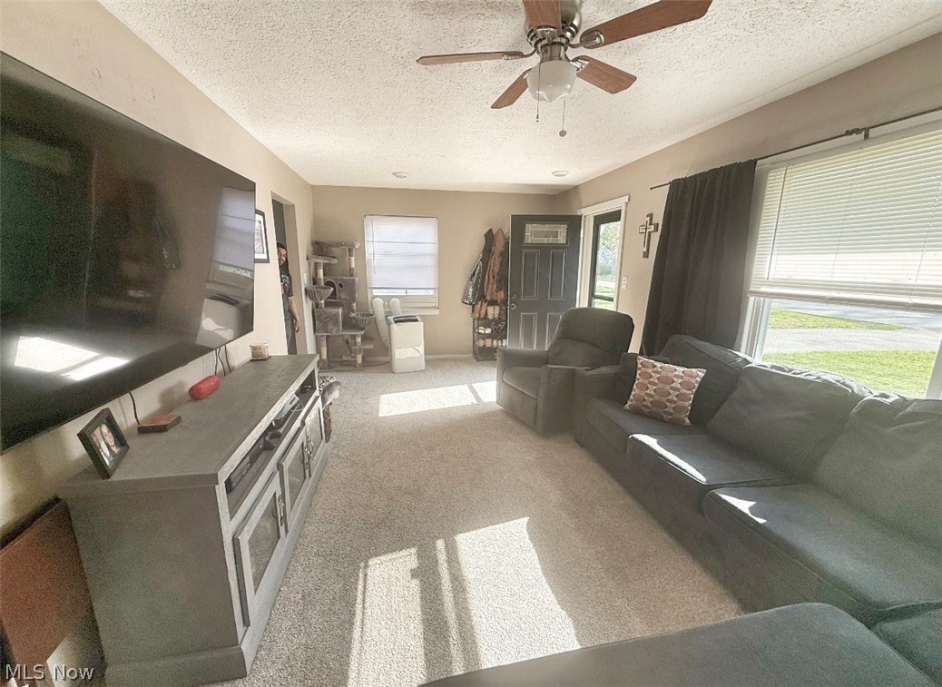 Mentor Headlands Park Sub - Residential