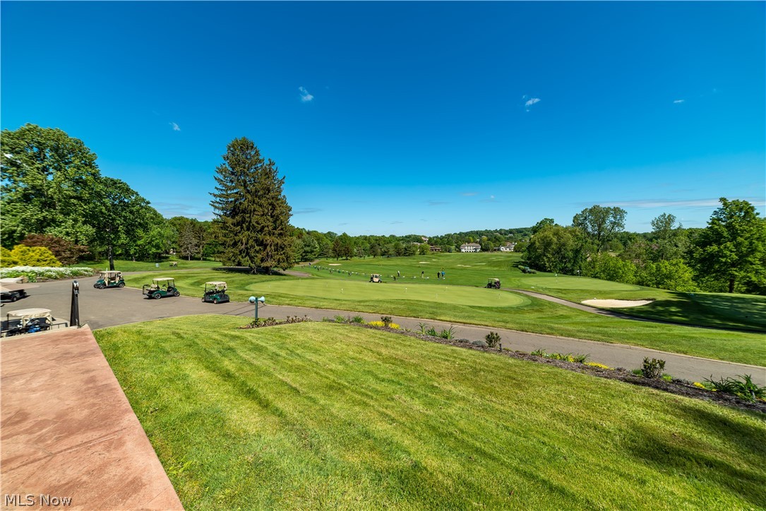 Hollyhock Avenue, Canton, Ohio image 8