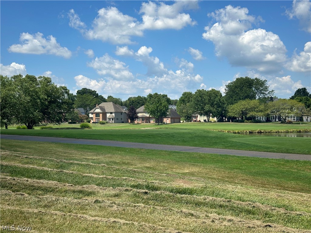 Hollyhock Avenue, Canton, Ohio image 3