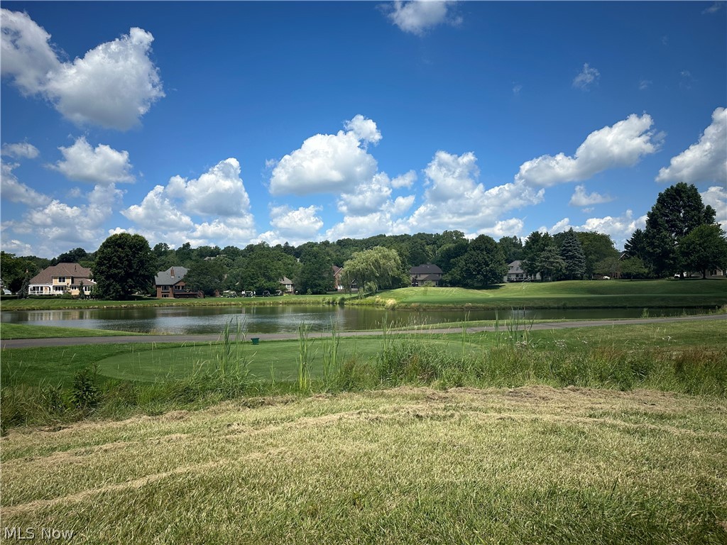 Hollyhock Avenue, Canton, Ohio image 2