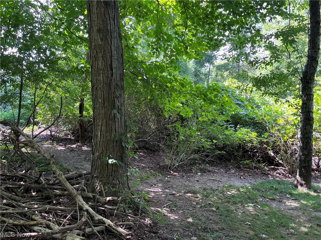 Saybrook - Residential