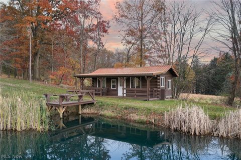Tiny photo for 12045 Coal Bank Road, Doylestown, OH 44230 (MLS # 5189979)