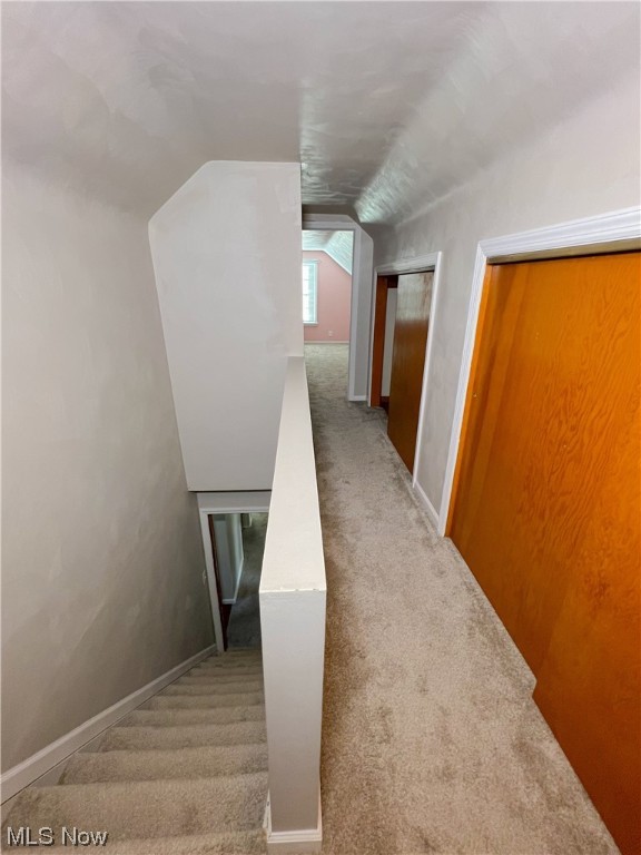 Campbell Allotment - Residential