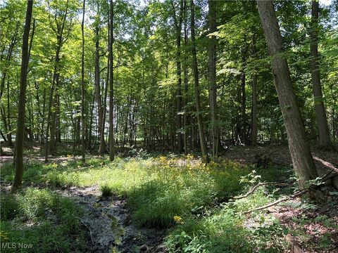 Tiny photo for 7148 Chatham Road, Medina, OH 44256 (MLS # 5179646)