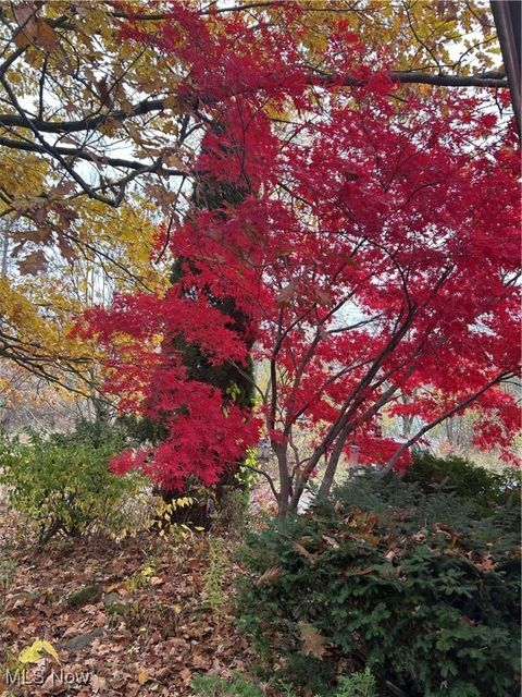 Tiny photo for 7148 Chatham Road, Medina, OH 44256 (MLS # 5179646)