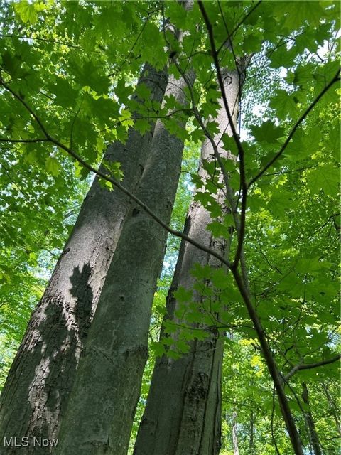 Tiny photo for 7148 Chatham Road, Medina, OH 44256 (MLS # 5179646)