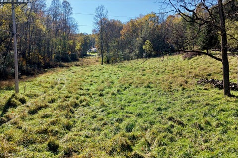 Tiny photo for 21129 Township Road 303, Coshocton, OH 43812 (MLS # 5257408)