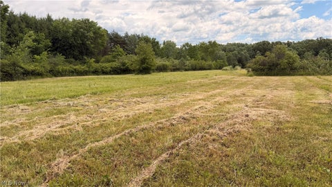 Vacant Land For Sale - Leiby Osborne Road<br/> Southington, OH 44470